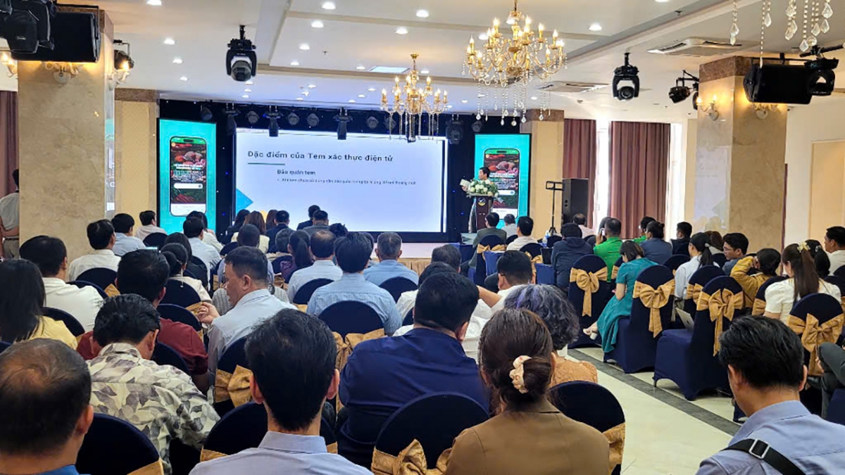 Hội thảo tập huấn, hướng dẫn sử dụng Hệ thống truy xuất nguồn gốc quả sầu riêng tại tỉnh Đồng Tháp