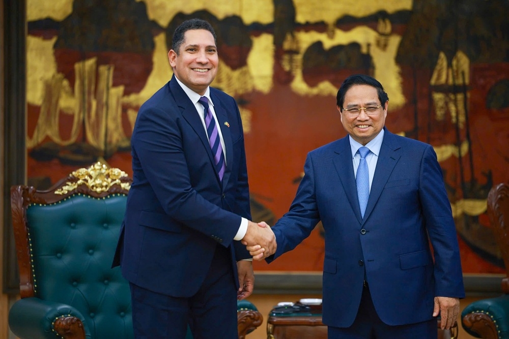 Thủ tướng Phạm Minh Chính và Đại sứ Thụy Điển tại Việt Nam Johan Ndisi. Ảnh: VGP