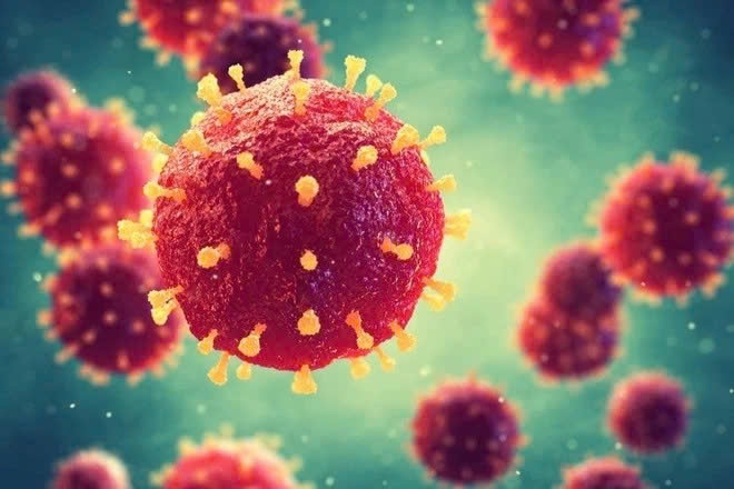 Bệnh do virus Nipah có tỷ lệ tử vong/mắc ở các trường hợp nhập viện khoảng 40-75%. (Ảnh minh họa)