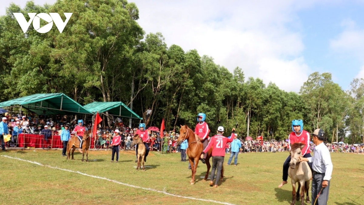 Lễ hội đua ngựa truyền thống Gò Thì Thùng hiện nay trở thành một sự kiện văn hóa đặc sắc, thu hút đông đảo người dân và du khách gần xa.