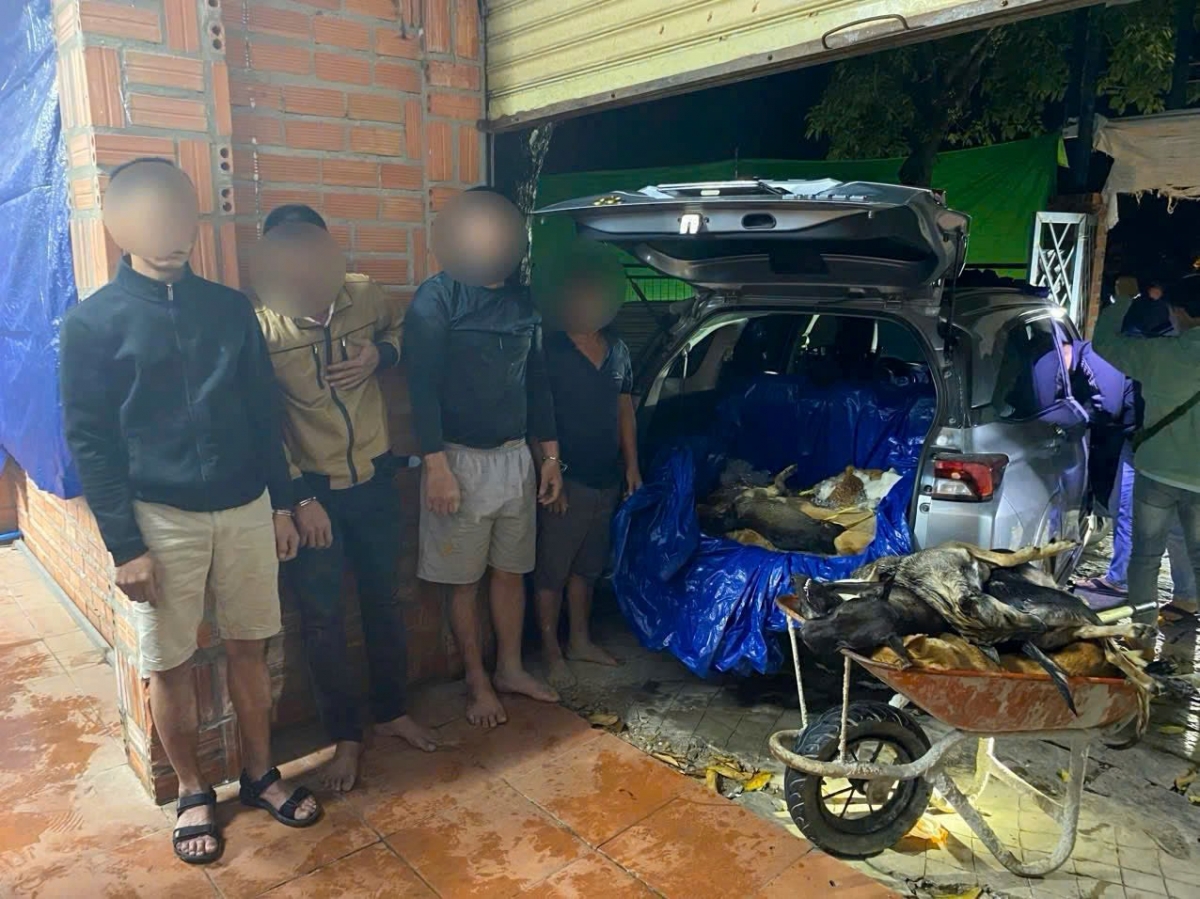 Chỉ trong thời gian ngắn ra quân đồng loạt, lực lượng Công an tỉnh Tây Ninh đã bắt giữ tổng cộng 9 đối tượng, thu giữ hơn 1,5 tấn tang vật (ảnh M.P).