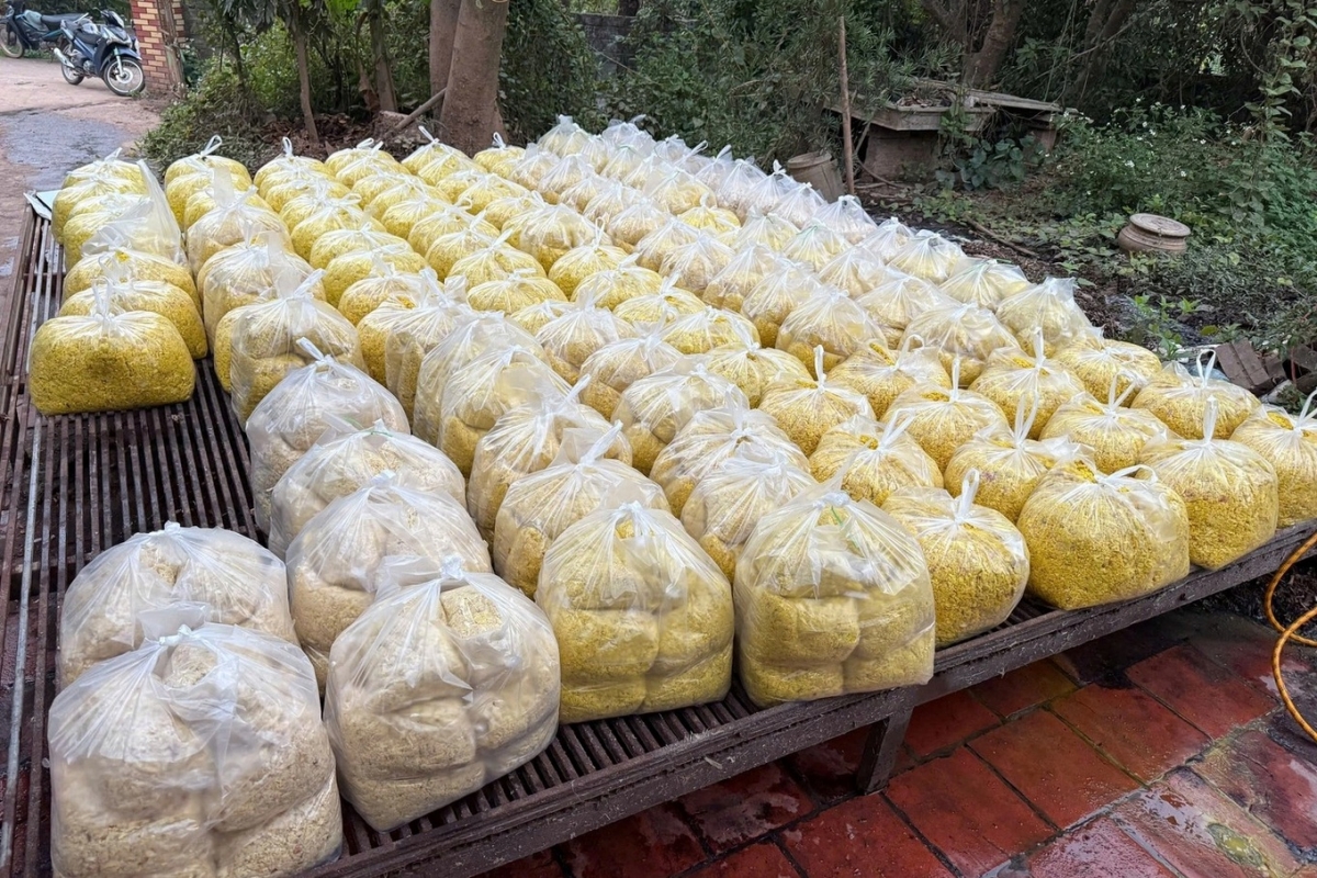 Riềng xay thành phẩm được trộn chất tẩy đường và Vàng O