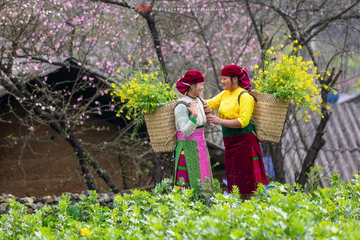Ảnh minh họa: Lê Việt Khánh