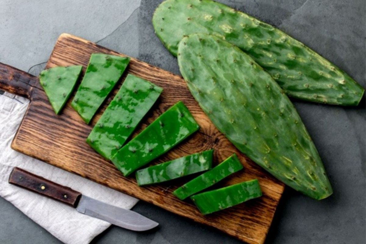 Xương rồng dùng đúng cách mang lại nhiều lợi ích cho sức khỏe. (Ảnh: VTC News)