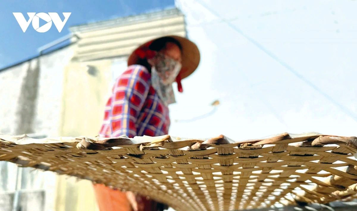 Bamboo racks are neatly arranged under the gentle Mekong Delta sun to keep them dry 