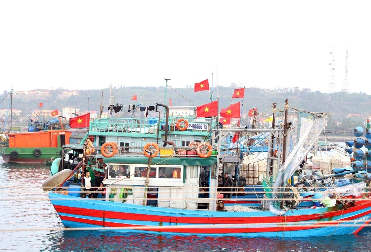 A peaceful morning at Bach Long Vi habour