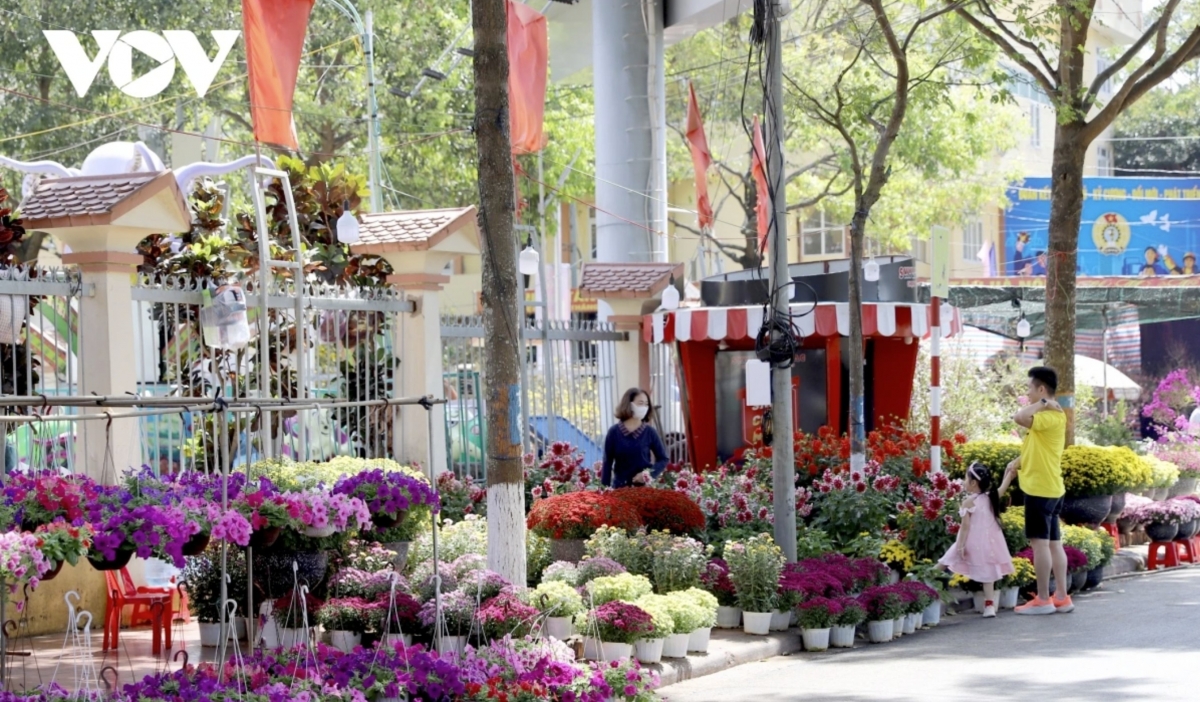 A wide array of colourful flowers is on sale at the flower market, displayed in varied species, colours and sizes to meet residents’ Lunar New Year needs.