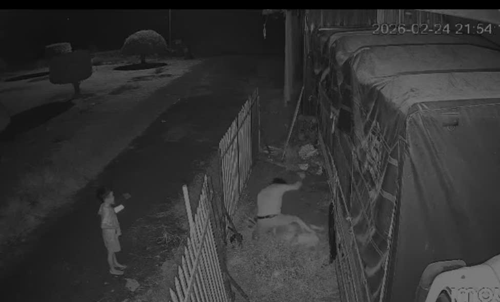 Camera ghi lại cảnh đối tượng dùng dao đâm chết người tình.