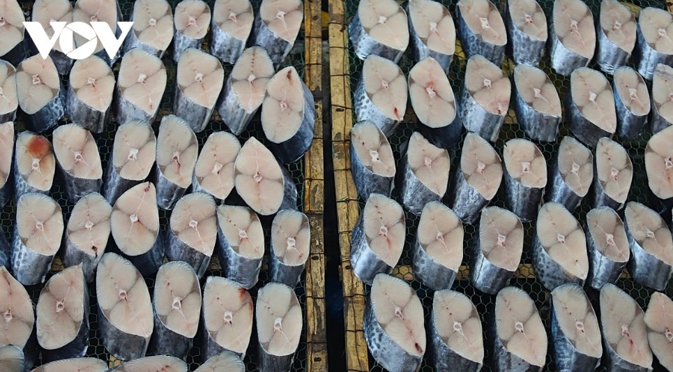 After being cut to uniform pieces, the fish are pre-processed and laid out on metal racks to drain and firm up before the next stage. Mackerel makes up the bulk of the grilled fish here, followed by Thửng fish and other varieties.