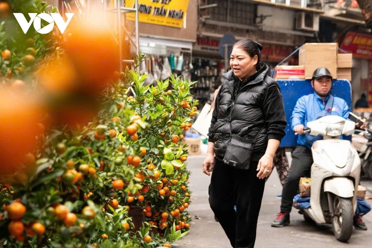 “During the Lunar New Year, Hanoi has many spring flower markets, but my family still keeps the tradition of visiting Hang Luoc Flower Market. Walking around and taking in the atmosphere of the year-end Tet flower market brings back memories of Tet when I was a child,” said Hai Hanh, a resident of Quang An ward in Hanoi.