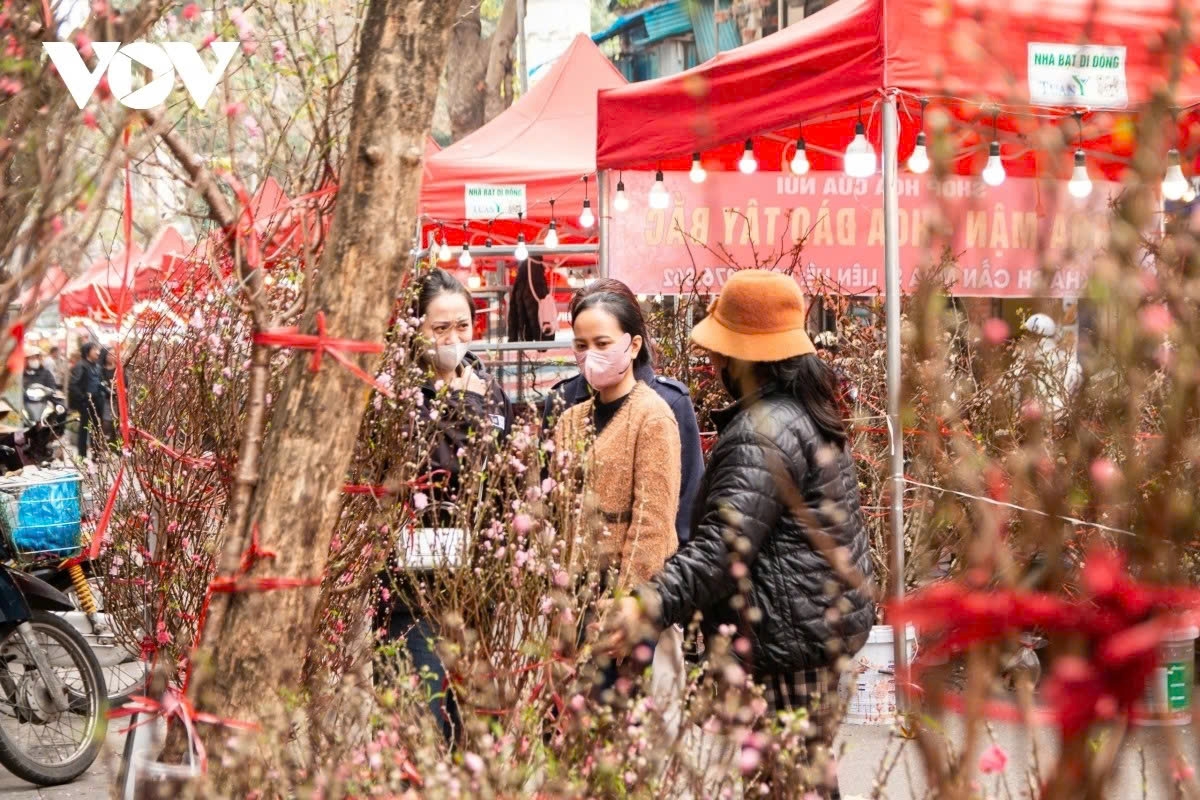 Today, the market continues to feature peach blossoms as its main offering, but with an increasingly wide range of varieties shaped in many different styles.