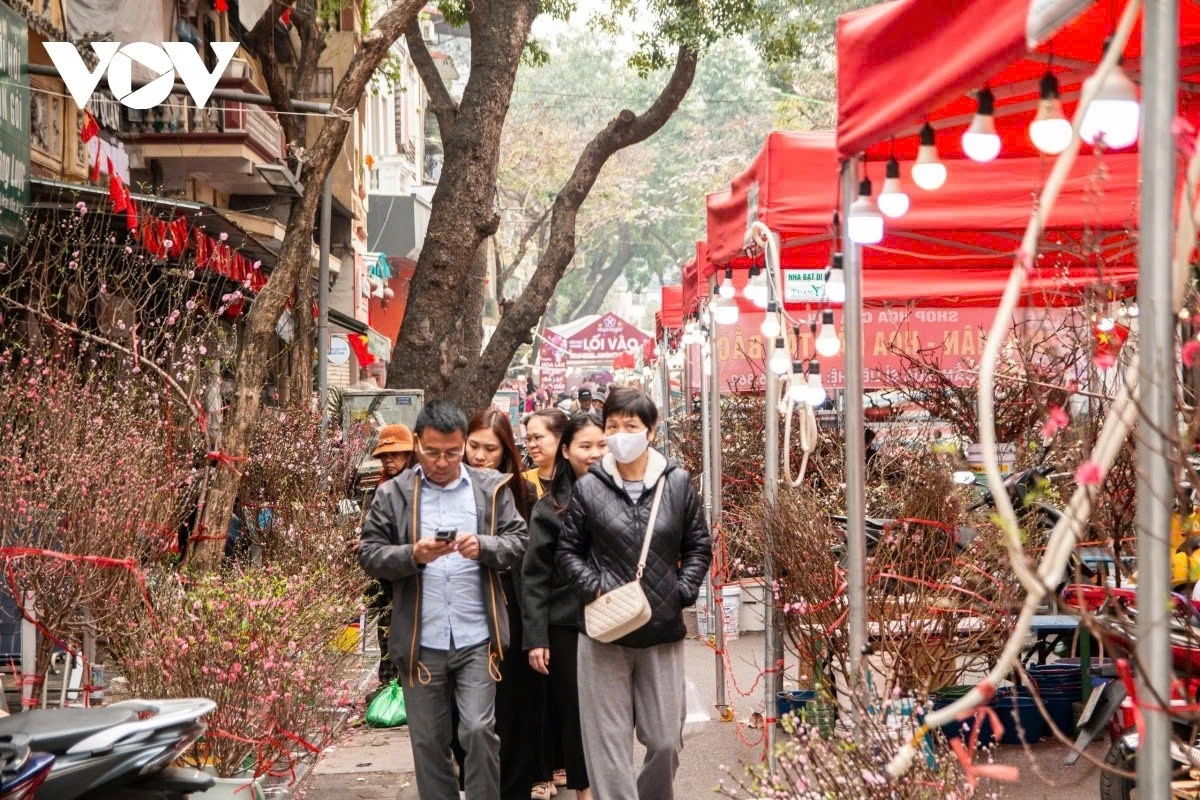 In 2026, the flower market expands across Hang Luoc, Hang Khoai, Hang Ruoi and Hang Ma streets, as well as the Phung Hung mural space, offering a wide range of goods including ornamental plants, fresh flowers and festive decorations for Tet shopping. The market runs from January 30 to 8:00 p.m. on February 16, 2026 (the 12th to the 29th day of the twelfth lunar month), and is open daily from 8:00 a.m. to 10:00 p.m.