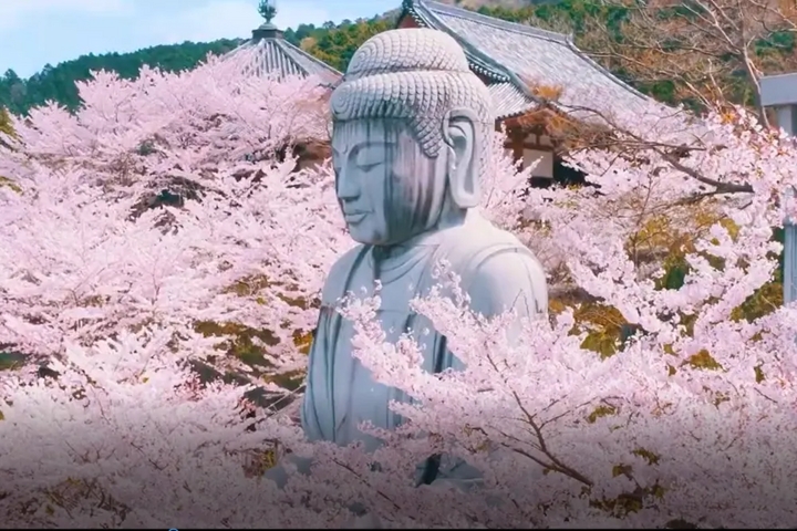 Đầu năm mới, tinh thần Phật pháp hướng đến sự an nhiên, vui vẻ, hạnh phúc. (Ảnh: JNTO)