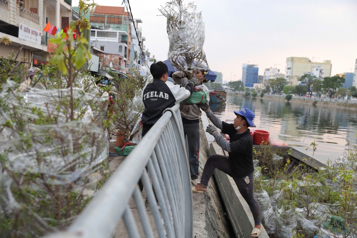Nhà vườn di chuyển hoa từ ghe lên bờ  (ảnh: N.T)