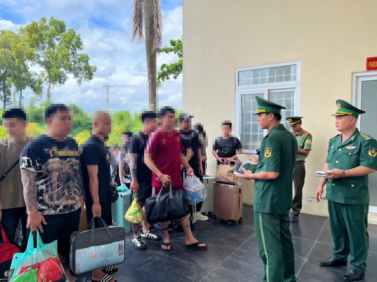 Lực lượng biên phòng tỉnh An Giang liên tiếp phát hiện, bắt giữ, xử lý 135 vụ với 1.291 đối tượng vi phạm.