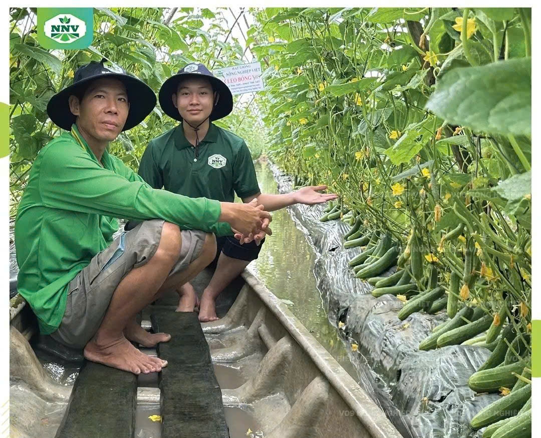 Nông dân chủ động tích trữ nước phòng, chống hạn mặn, bảo vệ sản xuất rau màu