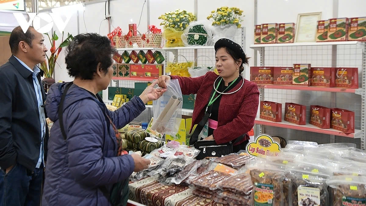 The Spring Fair, the first of its kind, aims to connect production, distribution and markets, and promote Vietnamese products and brands at home and abroad.