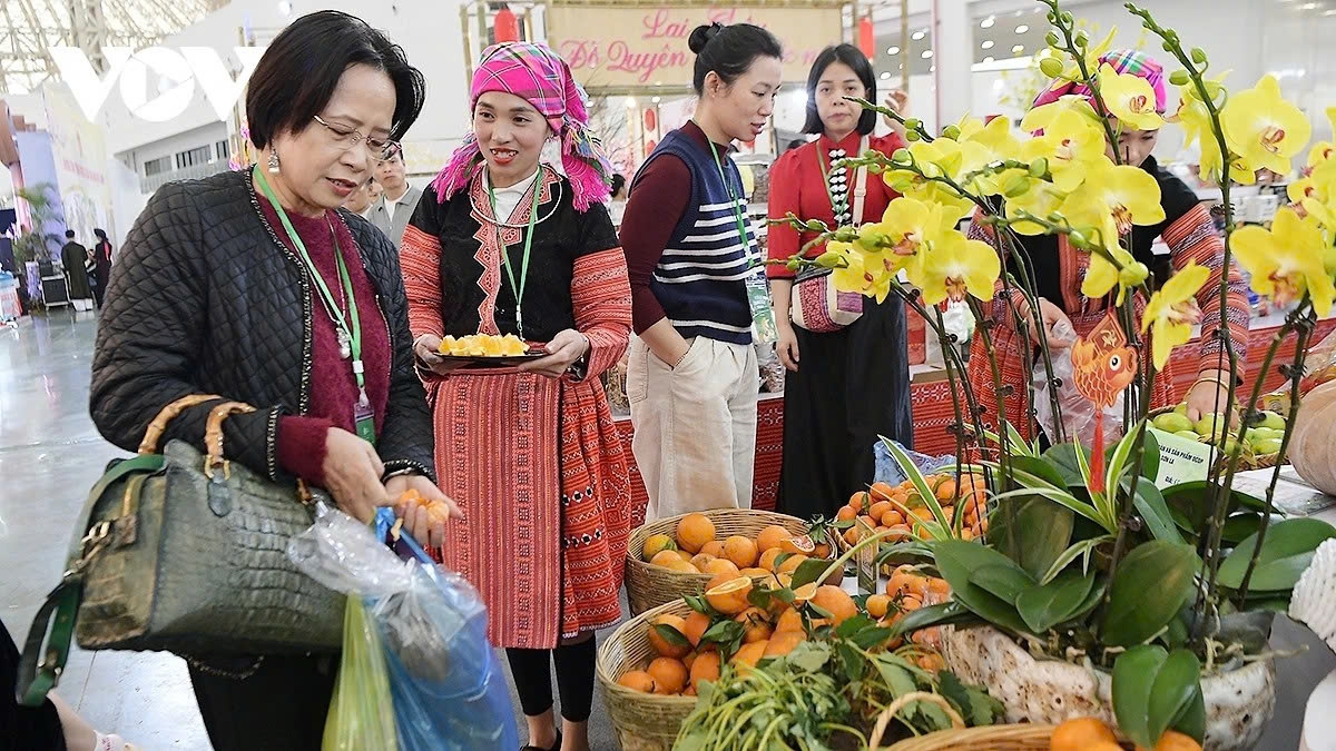 In addition, fresh fruits, wild bamboo shoots, mustard greens, corn wine, and wild apple wine contribute to completing the “flavour map,” making it unforgettable for those who have tasted and become familiar with these flavours.