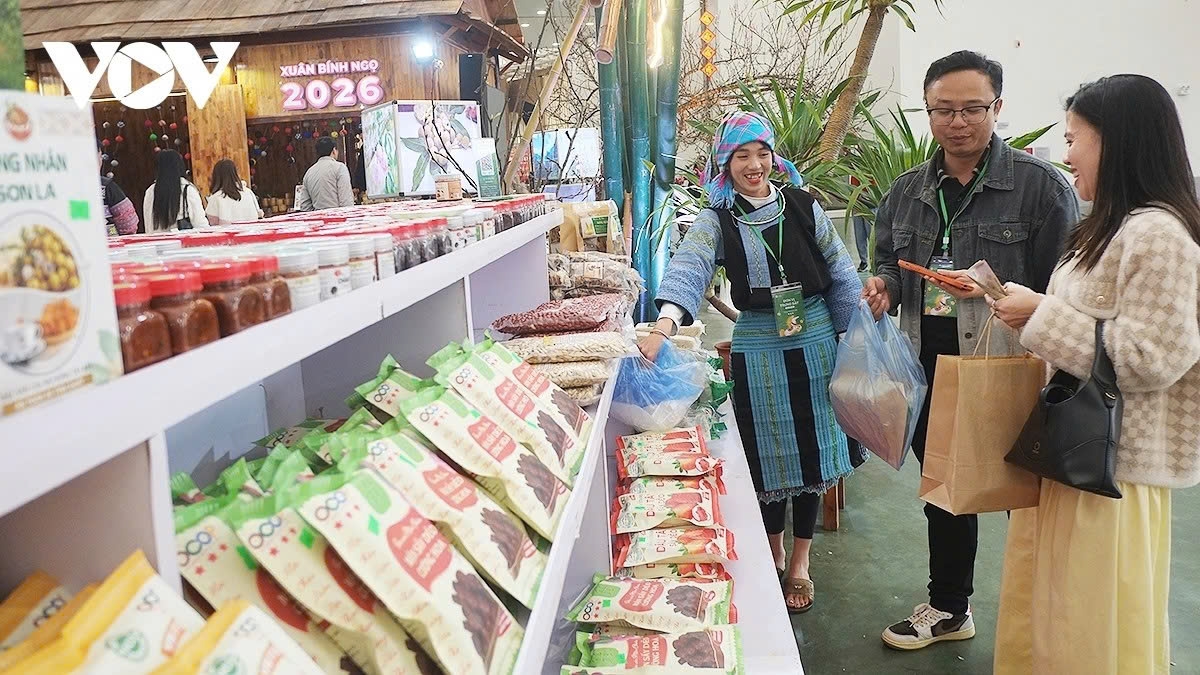 Le Hong Anh, director of Son La’s Center for Investment, Trade and Tourism Promotion, stresses that at the 2026 Spring Fair, Son La is bringing hundreds of products, including local food and cultural items, especially fruits and processed products made in Son La, to serve people during the Lunar New Year (Tet) festival.