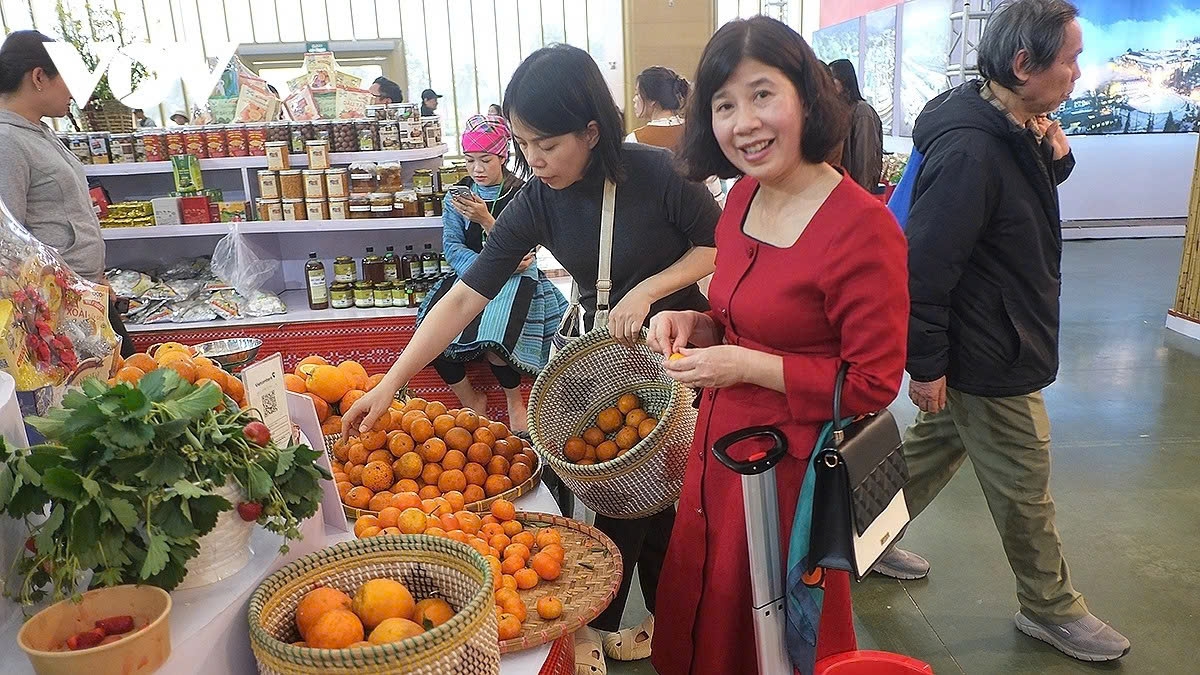 Son La offers Hanoi’s residents and tourists more than 30 products, including fresh seasonal fruits and processed fruit products, the centre director says.