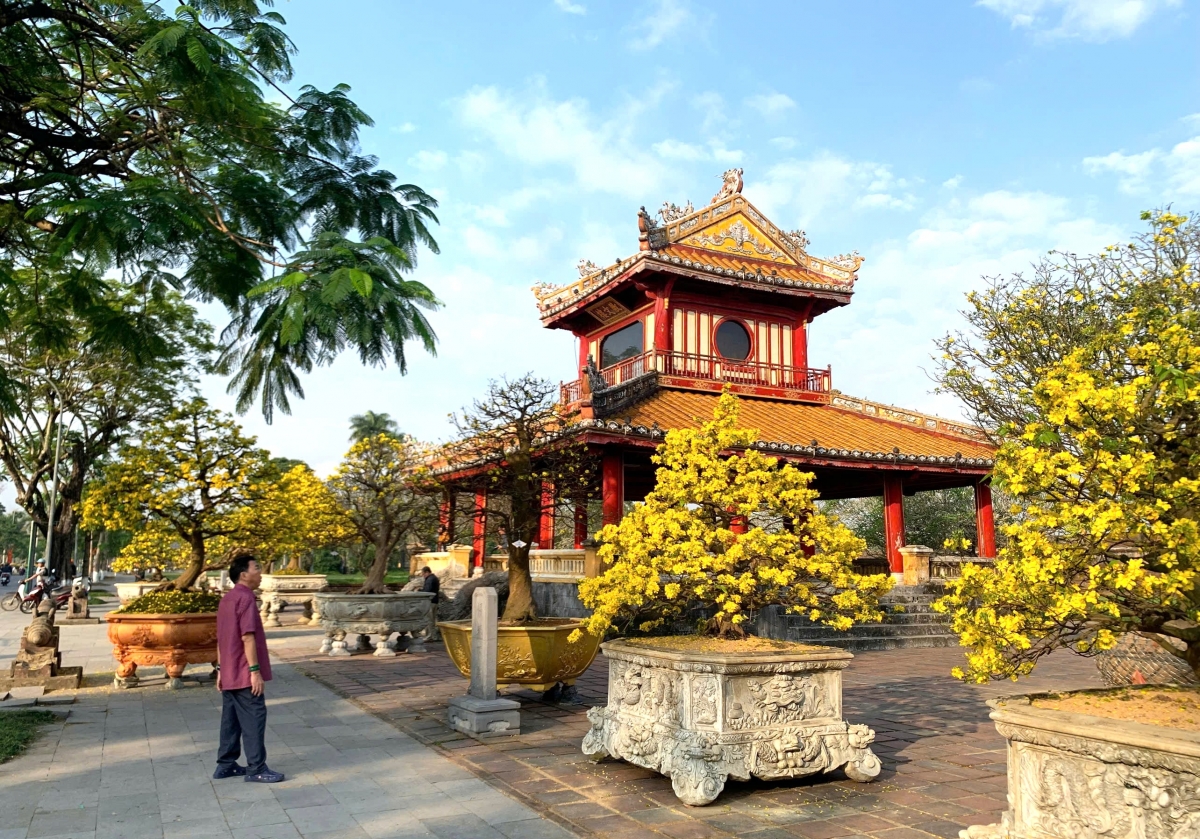 Tại Ngày hội, người trồng mai chia sẻ kinh nghiệm chăm sóc cây Hoàng Mai Huế