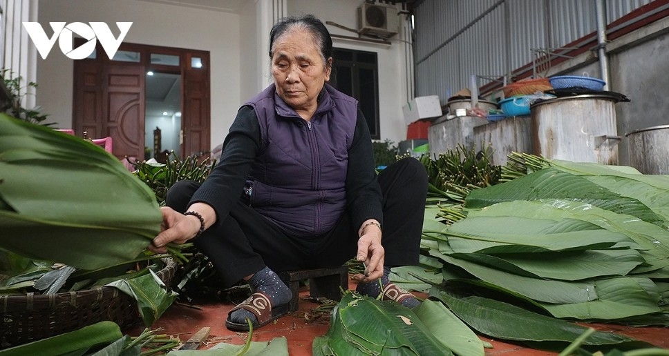 Before the peak season begins, villagers wash the dong leaves in advance, ensuring they are rinsed twice and left to drain, dry and become pliable before cakes are wrapped.