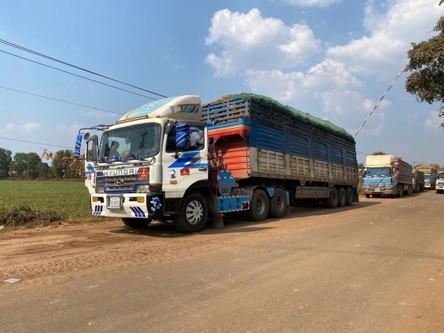 Hải quan cửa khẩu làm việc 24/7, tháo gỡ vướng mắc thông quan thực phẩm