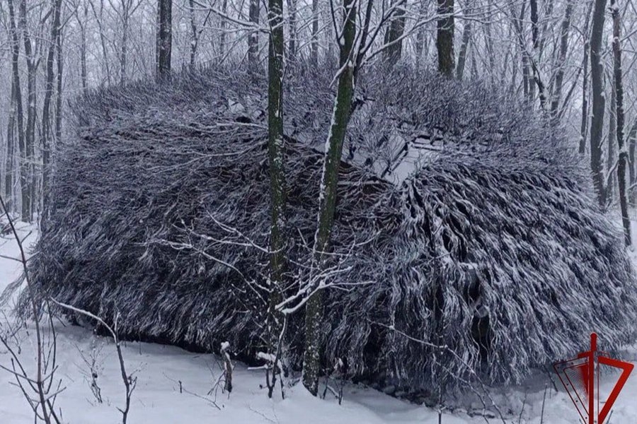 Xe tăng "nhím". Ảnh: X