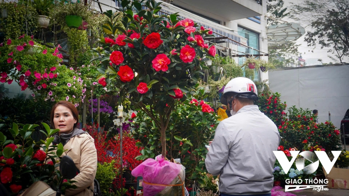 “Mình thấy không khí Tết ở thành phố rất nhộn nhịp, ai cũng hào hứng sắm sửa. Nhà mình năm nào cũng cố gắng đi chơi, đi ngắm cây, mua sắm sớm, hiện tại ở nhà đã có một cành đào rồi, bây giờ sắm thêm hoa, đồ trang trí là đẹp”, chị N. T. Cúc, sinh sống tại Hà Đông chia sẻ.