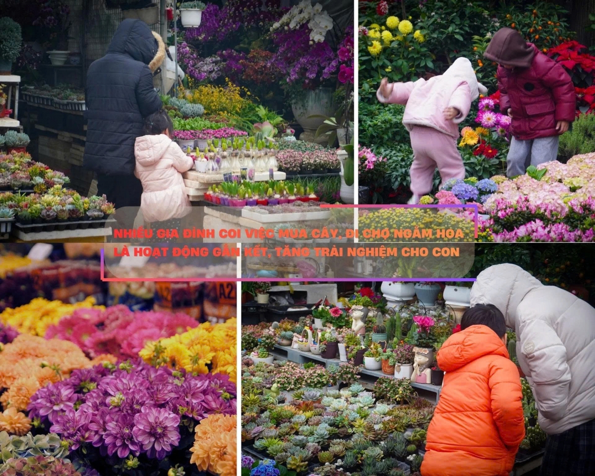 “Mình thấy không khí Tết ở thành phố rất nhộn nhịp, ai cũng hào hứng sắm sửa. Nhà mình năm nào cũng cố gắng đi chơi, đi ngắm cây, mua sắm sớm, hiện tại ở nhà đã có một cành đào rồi, bây giờ sắm thêm hoa, đồ trang trí là đẹp”, chị N. T. Cúc, sinh sống tại Hà Đông chia sẻ.