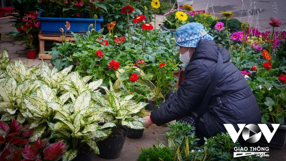 “Mình thấy không khí Tết ở thành phố rất nhộn nhịp, ai cũng hào hứng sắm sửa. Nhà mình năm nào cũng cố gắng đi chơi, đi ngắm cây, mua sắm sớm, hiện tại ở nhà đã có một cành đào rồi, bây giờ sắm thêm hoa, đồ trang trí là đẹp”, chị N. T. Cúc, sinh sống tại Hà Đông chia sẻ.