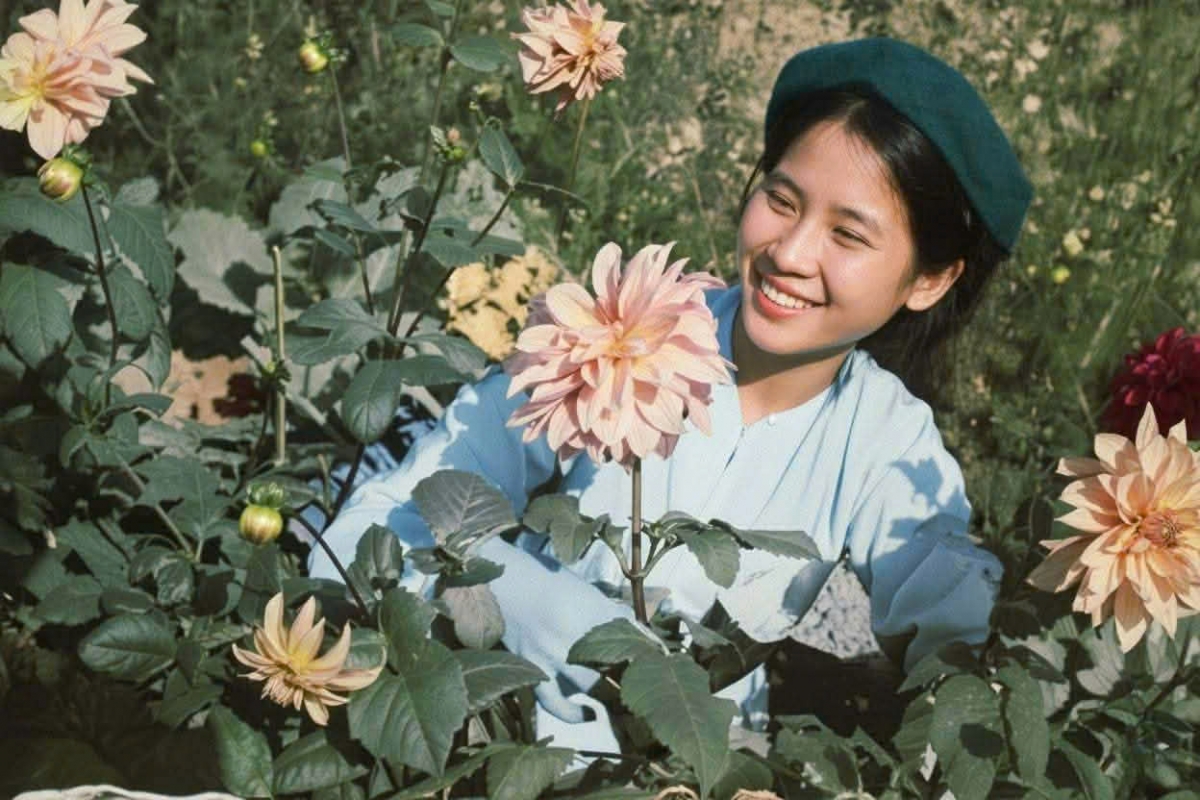 Tết xưa ở làng Ngọc Hà là mùa của hoa