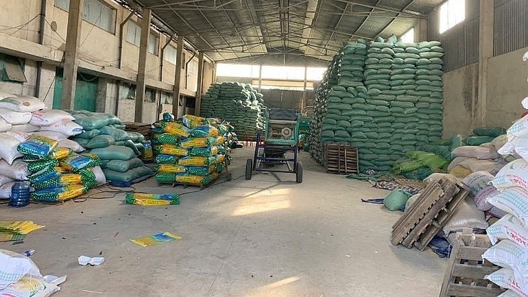 Cơ quan chức năng thu giữ tại hiện trường 781 bao lúa giống giả loại ST24, ST25 với tổng trọng lượng hơn 22 tấn, trị giá gần 600 triệu đồng