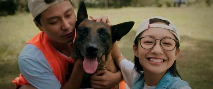 Diễn viên Hoàng Hà nhận được nhiều sự chú ý khi quay trở lại màn ảnh nhỏ trong vai nữ chính của bộ phim truyền hình "Đồng hồ đếm ngược" đang phát sóng trên VTV. Cô vào vai Chi - cô gái khiếm thính, là một IT hacker thông minh và cá tính, độc lập, mạnh mẽ, giàu nghị lực. Chi là hàng xóm của Thành (Thanh Sơn thủ vai).