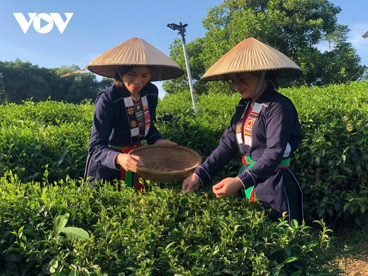 Chính phủ đã triển khai nhiều chính sách và giải pháp hỗ trợ ngành nông nghiệp, hướng tới mục tiêu tăng trưởng bền vững và thích ứng với biến đổi khí hậu