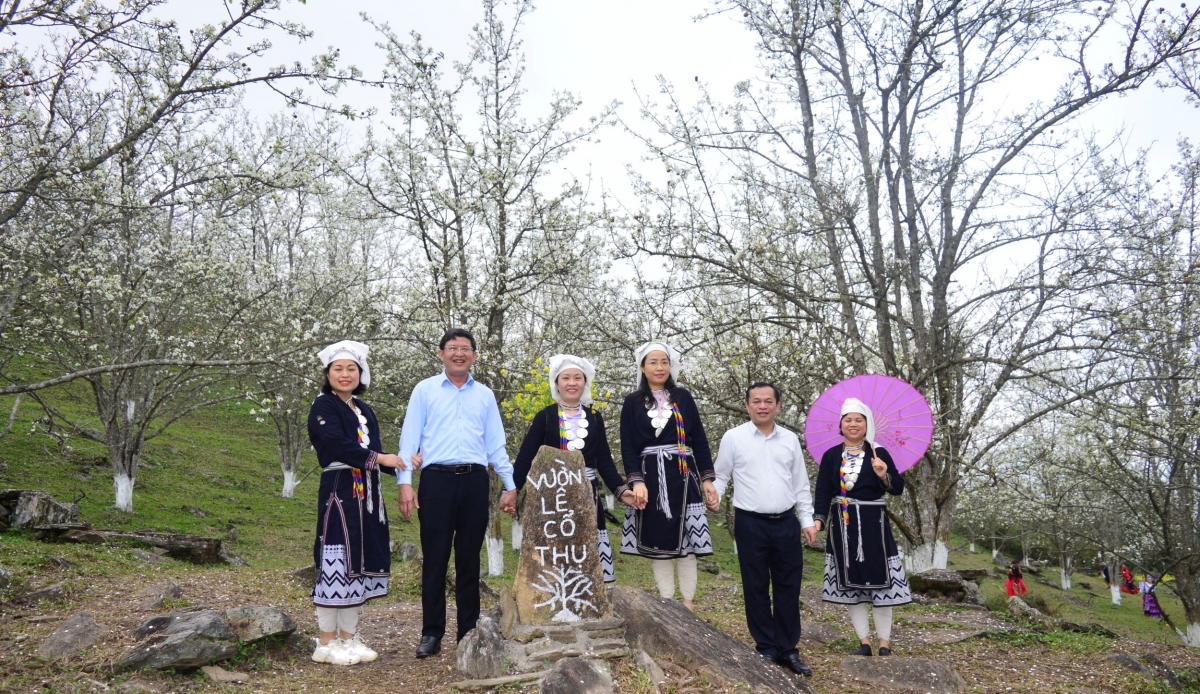 Hoa lê ở xã Hồng Thái nở rộ từ giữa tháng 2 đến đầu tháng 3 hằng năm, đánh thức mùa du lịch sinh thái nơi miền sơn cước.