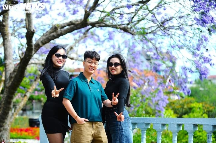 Đường Nguyễn Thị Minh Khai, nơi dừng chân của cây phượng cổ thụ, tán hoa rộng che mát cả lối vào chợ, tạo nên vẻ đẹp hoài cổ giữa lòng phố thị xô bồ. Nhiều du khách thích thú đến đây ngắm loài hoa độc đáo này.