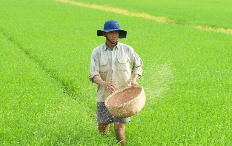 Một số doanh nghiệp phân bón đang cân nhắc rất kỹ lưỡng khi bất buộc phải tăng giá phân bón trong thời điểm này để có thể chia sẻ với những khó khăn của nông dân. Ảnh: Lê Hoàng Vũ