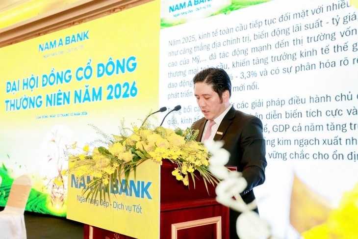 Ông Trần Khải Hoàn, thành viên HĐQT kiêm quyền Tổng giám đốc, phát biểu tại Đại hội cổ đông thường niên hôm nay - Ảnh: D.B