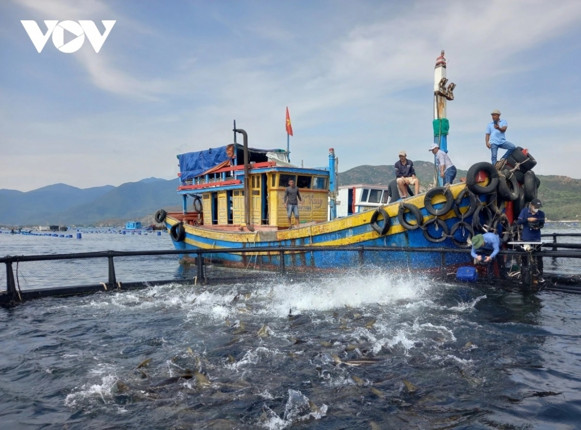 Tỉnh Khánh Hòa đẩy mạnh phát triển kinh tế biển