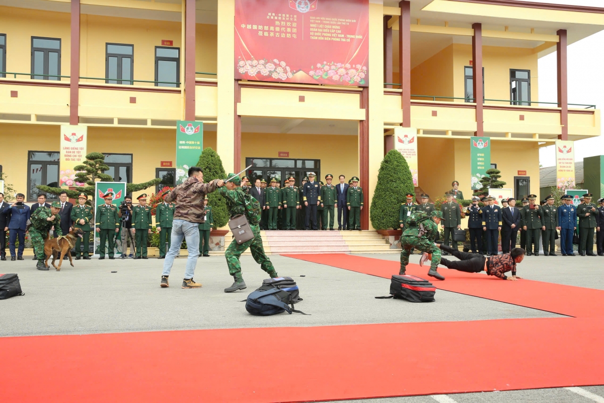 Chó nghiệp và cán bộ, chiến sĩ Bộ đội Biên phòng vào cuộc vây bắt các đối tượng.