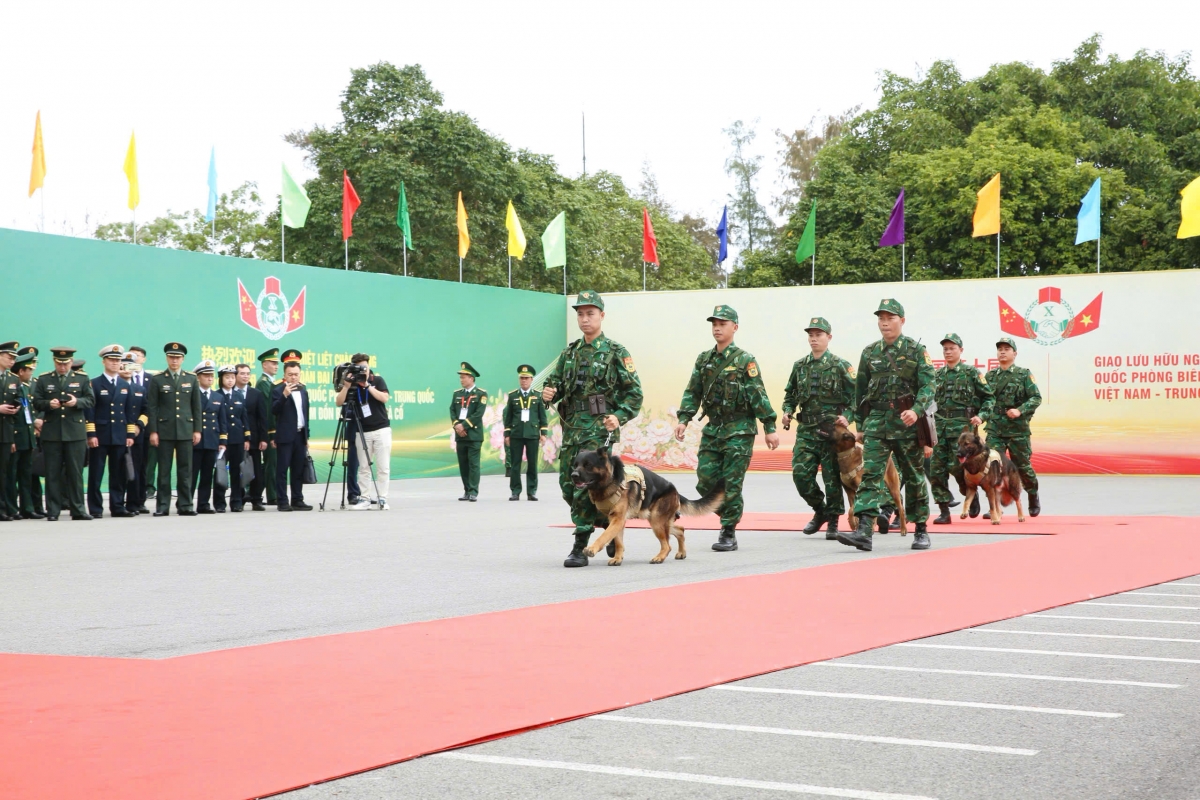 Đội hình Bộ đội Biên phòng và chó nghiệp vụ chuẩn bị tham gia chuyên án giả định đấu tranh chống tội phạm ma túy.