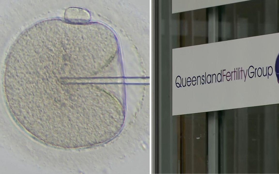 Cơ sở thụ tinh trong ống nghiệm Queensland Fertility Group ở thành phố Brisbane, Australia. Ảnh: 7 News.