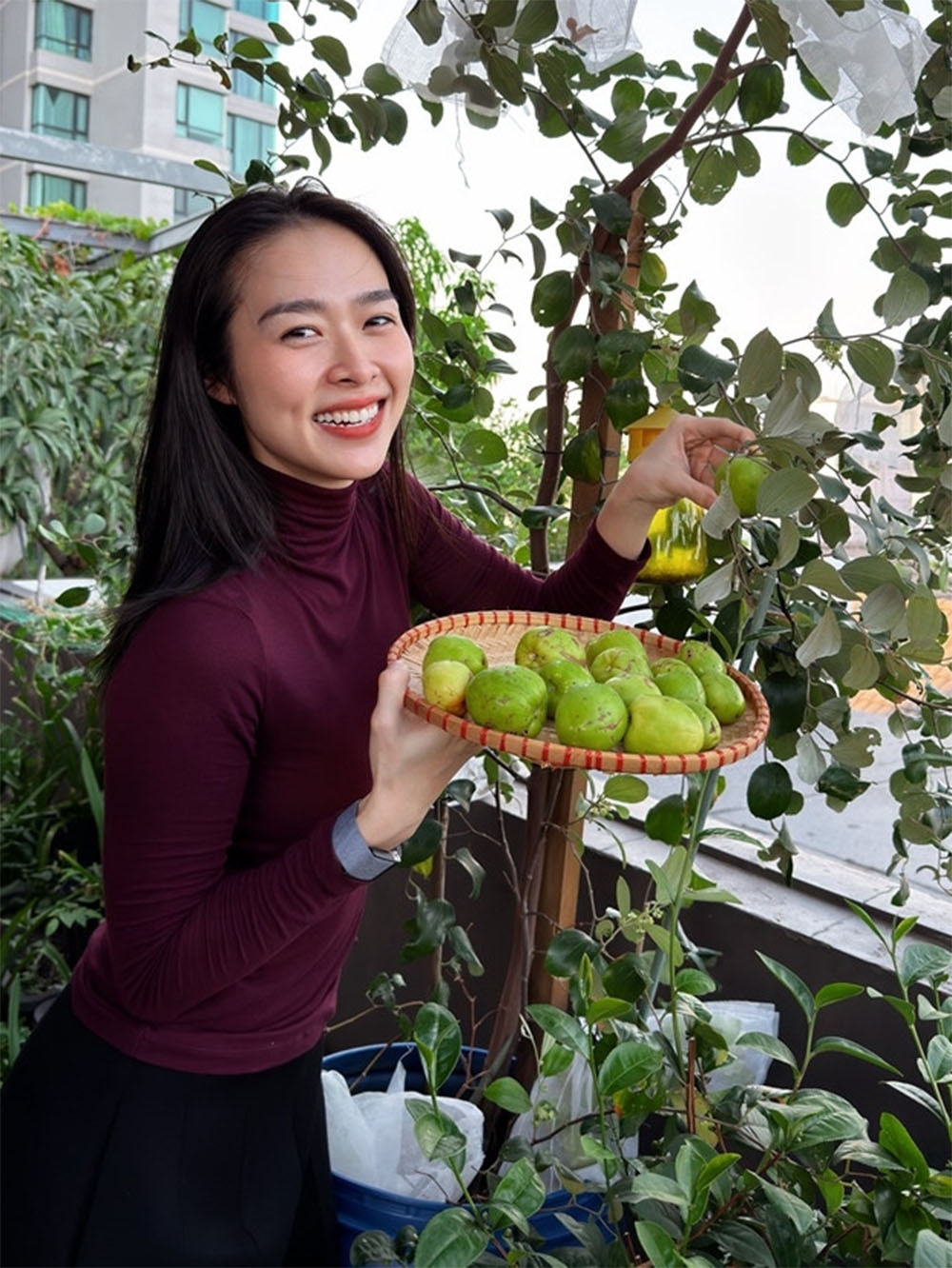 Diễn viên Diệp Bảo Ngọc khoe thành quả sau 6 tháng trồng táo, tự hào vì trái cây tự tay chăm bón dù xấu mã nhưng thơm ngon giòn ngọt bất ngờ.