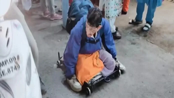 (Ảnh chụp màn hình)