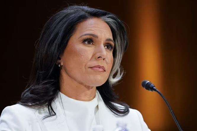 Giám đốc Tình báo Quốc gia Mỹ Tulsi Gabbard. (Ảnh: Reuters)