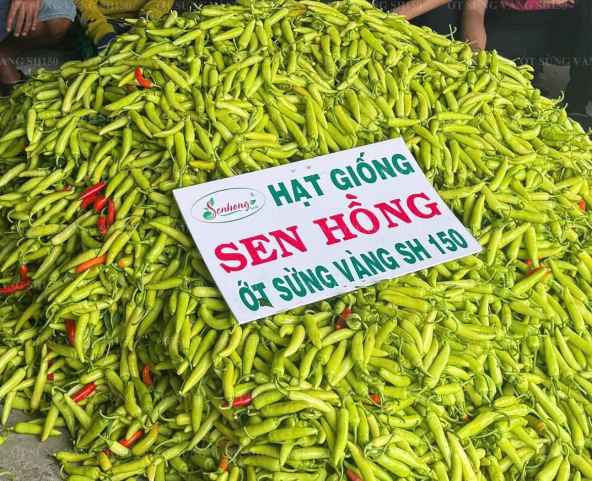 Năng suất, chất lượng, hạ giá thành sản xuất là yếu tố quan trọng của các doanh nghiệp cần ứng phó trong cơn "bão giá" vật liệu, nhiên liệu