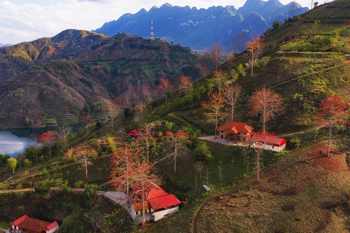 Giữa không gian núi rừng rộng lớn của Sơn La, mỗi mùa hoa gạo nở lại mang đến một gam màu đặc trưng cho vùng đất này. Những cây gạo cổ thụ với sắc hoa đỏ rực không chỉ góp phần tạo nên cảnh quan thiên nhiên đặc sắc mà còn gắn liền với đời sống và ký ức của nhiều bản làng nơi đây.