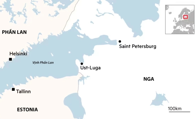 Vị trí Ust-Luga. Đồ họa: FT