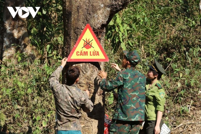 Nhiều cánh rừng ở Sơn La đối mặt với nguy cơ cháy cao do nắng nóng cục bộ